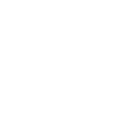 Saravana Store